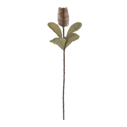 Banksia Stem 74cm Beige