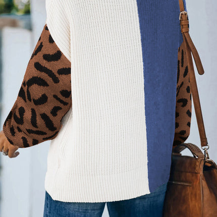 Blue Leopard Print Contrast Colour V Neck Sweater