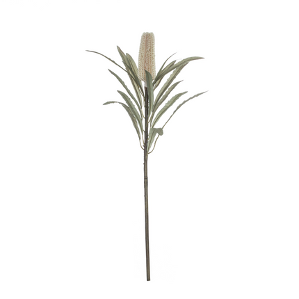 RB Deco Banksia Thin Stem 35x28x63cmNat