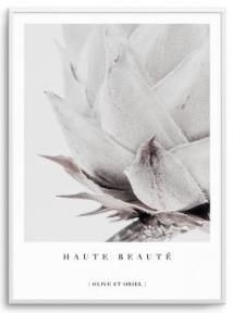 Artworks - King Protea Prints with White Frames